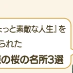 post-6336のアイキャッチ