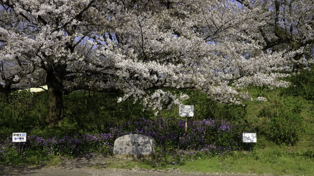権現堂公園