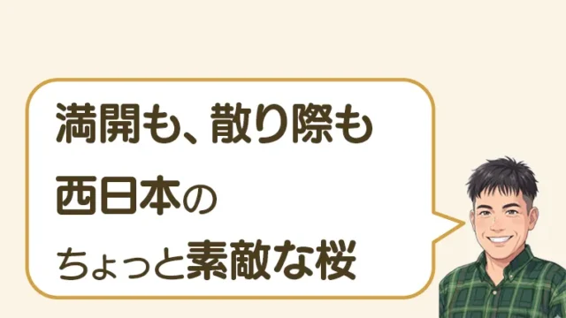 post-7430のアイキャッチ