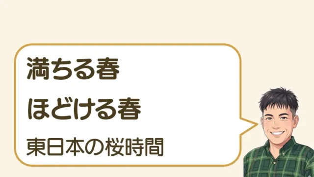 post-7436のアイキャッチ