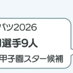 post-8399のアイキャッチ