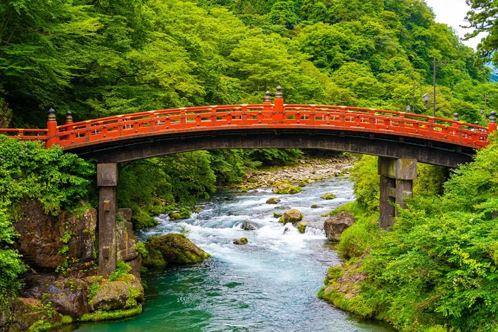 nikko07