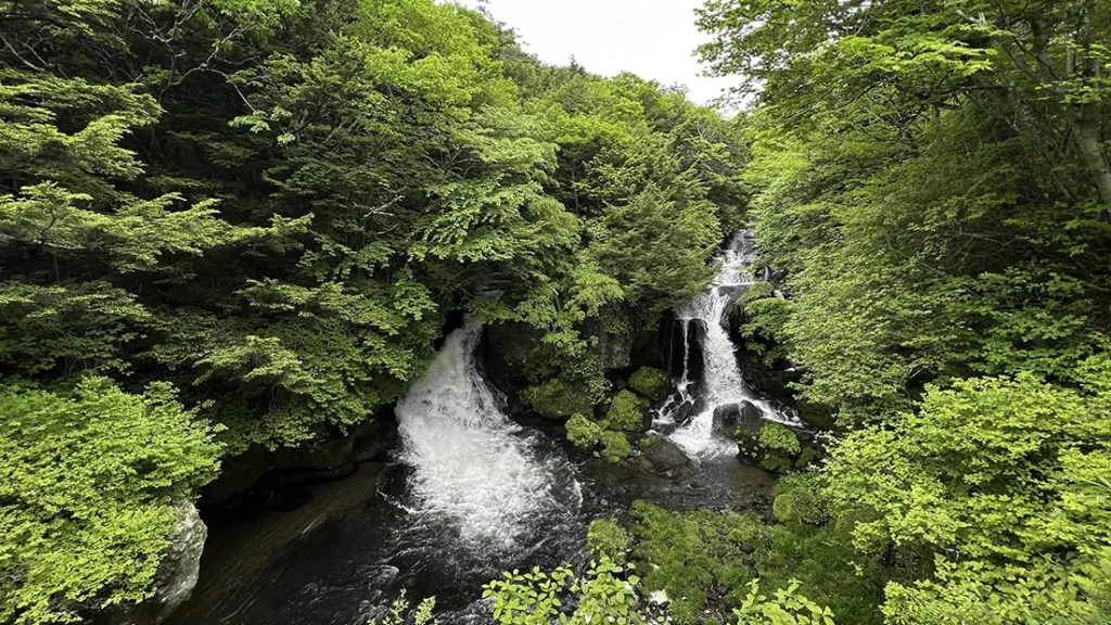 ryuuzufalls