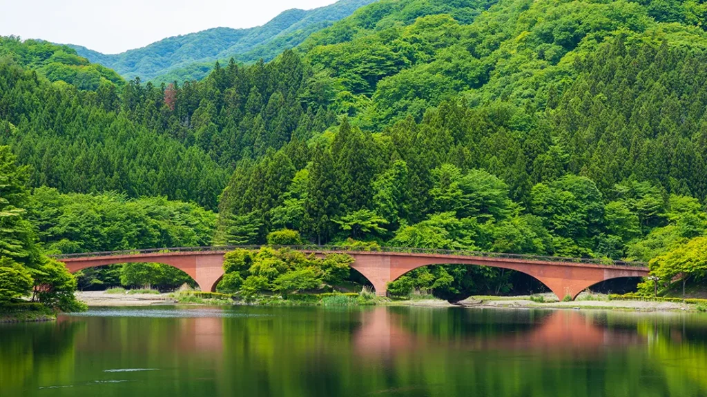 usuiko01