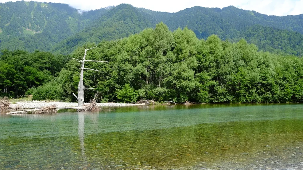 上高地の大正池