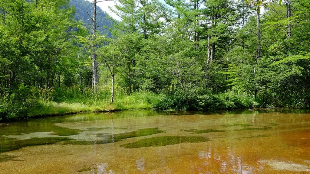 上高地の田代池